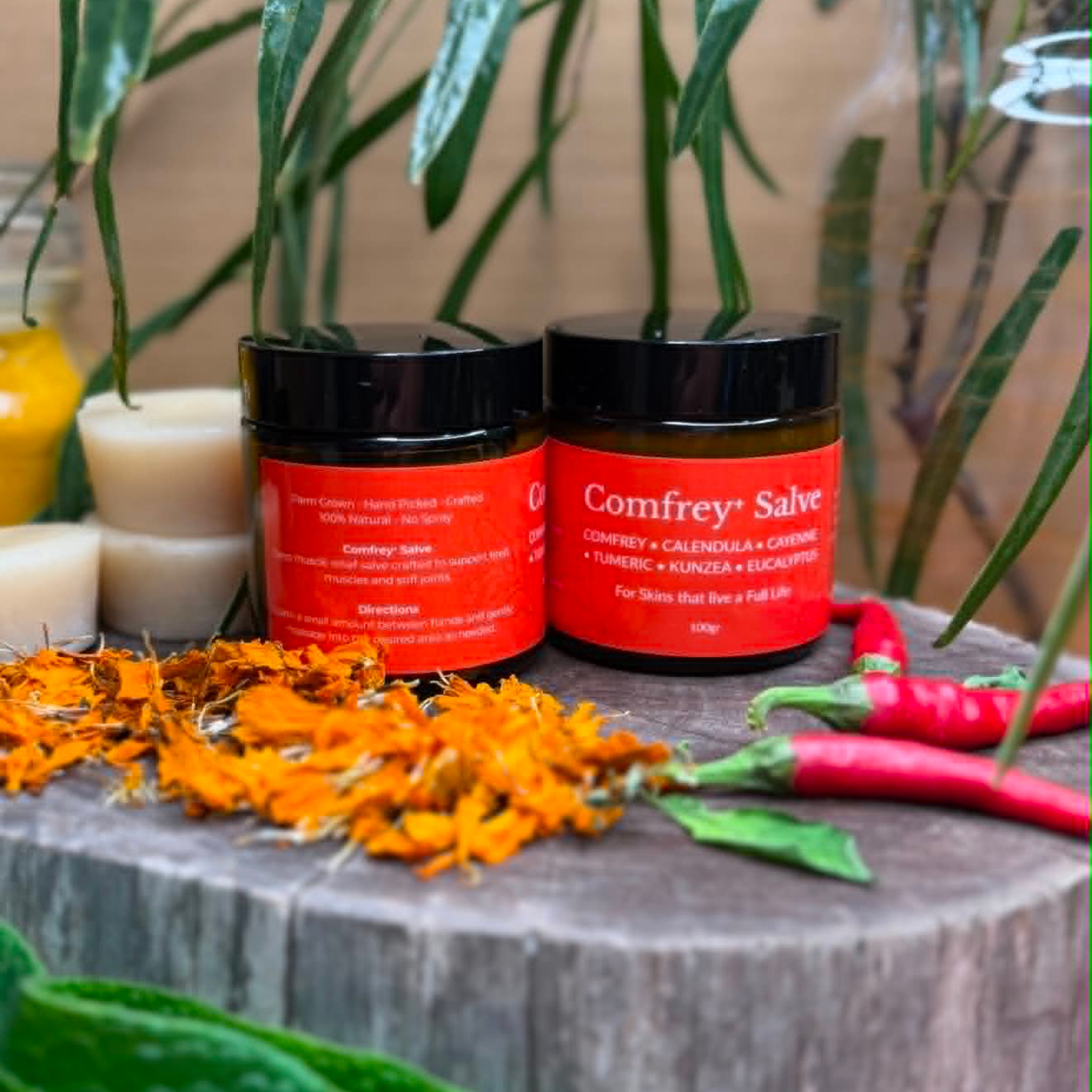 Comfrey Plus Salve